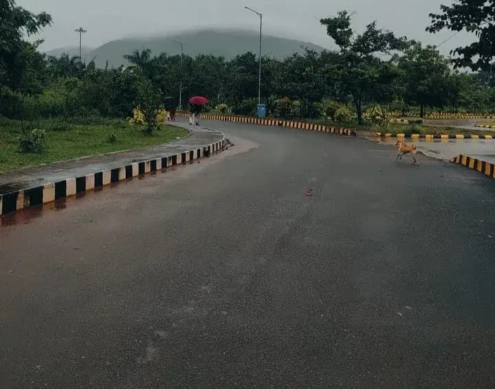 IIT Bhubaneswar Academic Building photo 48